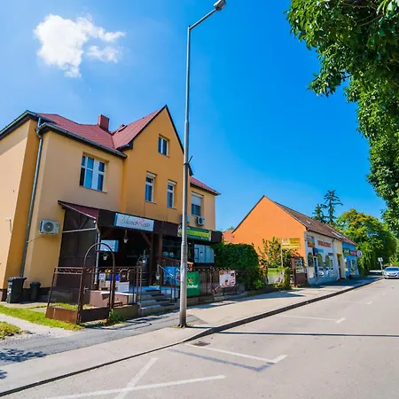 شقة Belvarosi شيوفوك